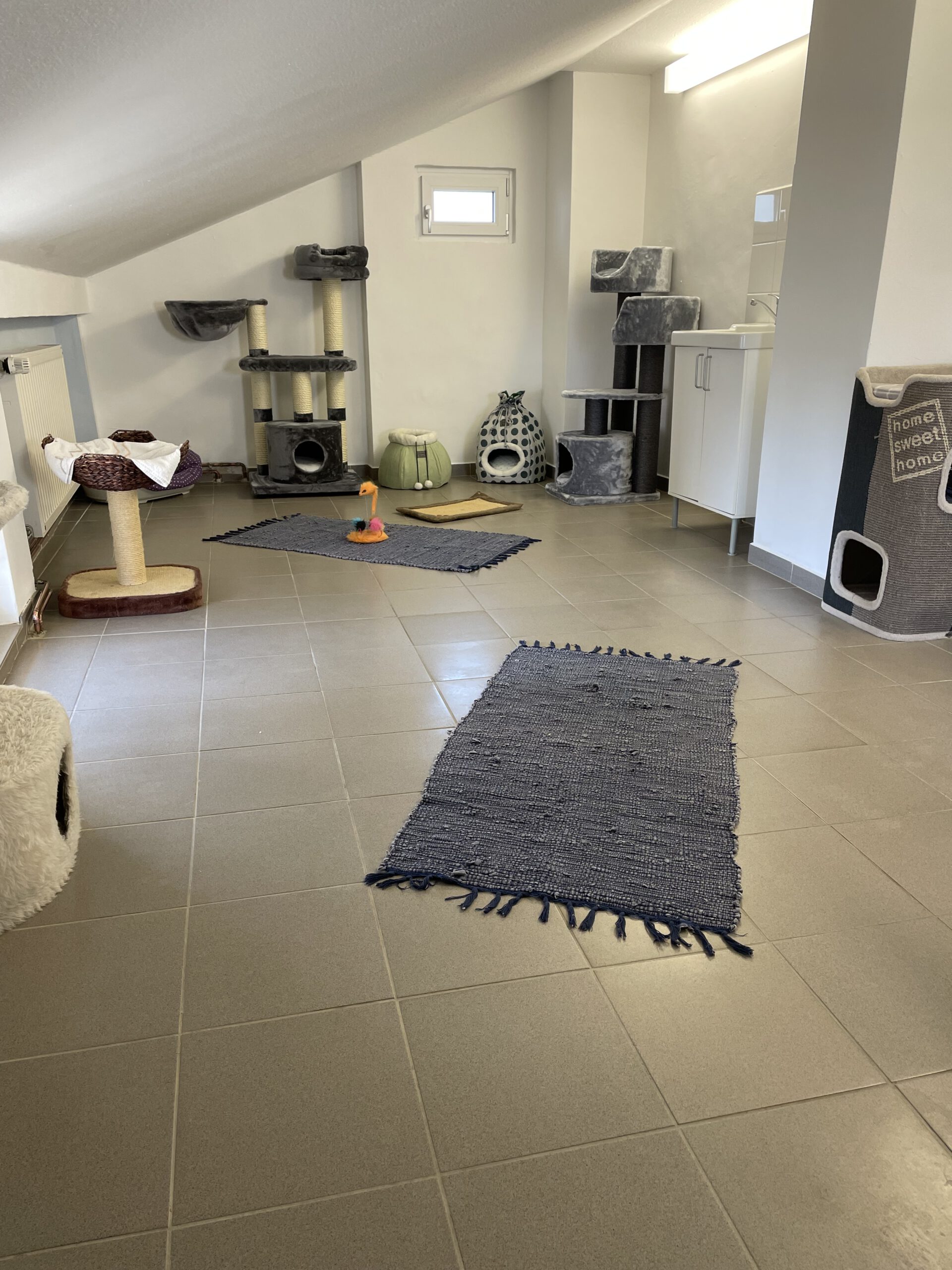 Foto da galeria de Katzenpension Kelsterbach